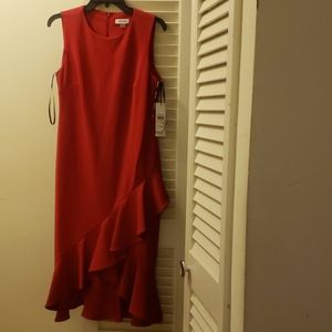 Red Sleeveless Calvin Klein Dress. Size 10. New